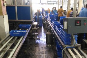 Crate chain conveyor 1